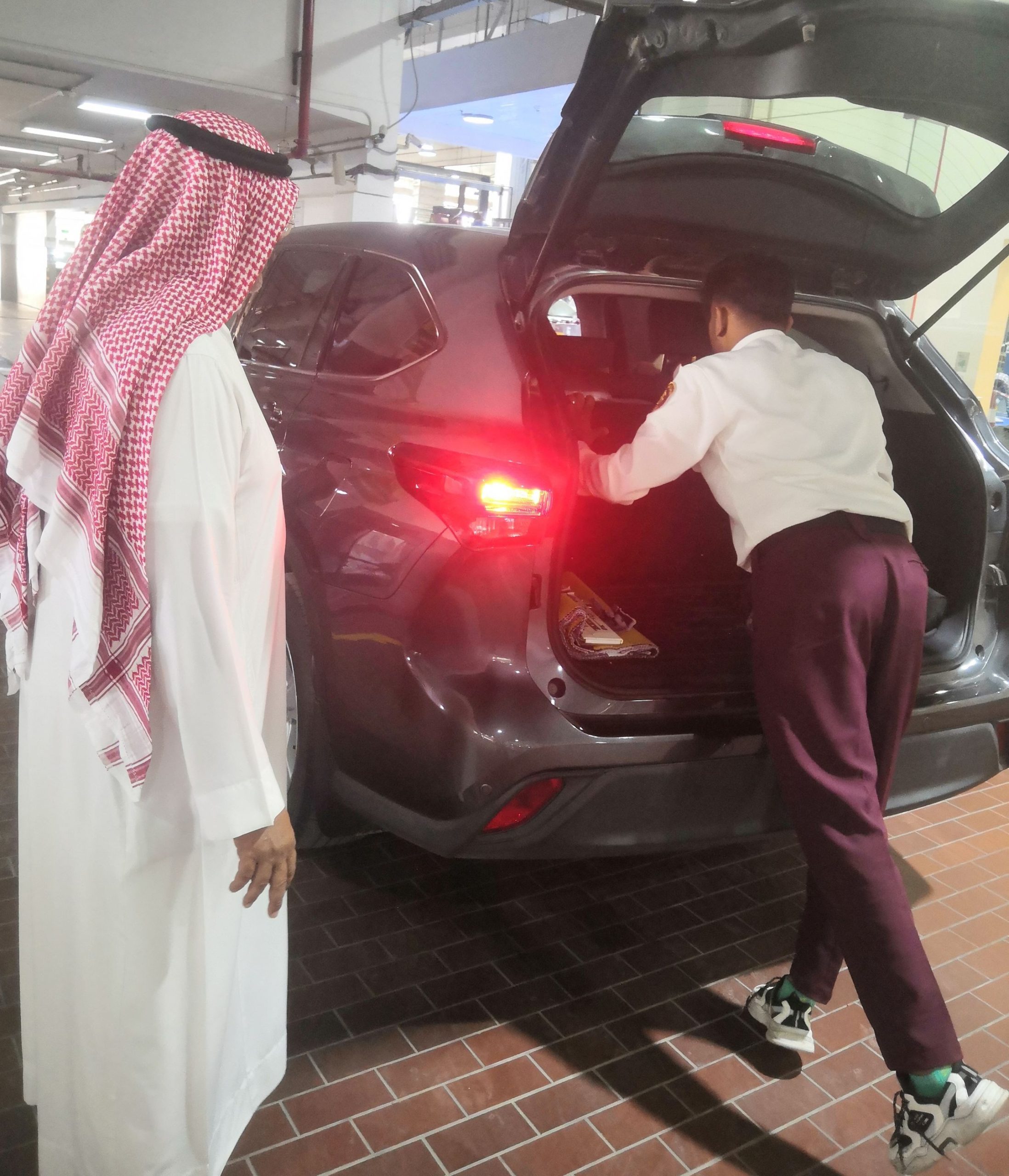 نطاق خدمات الشركة